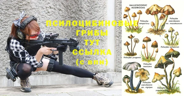 скорость Аркадак