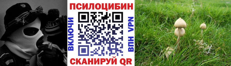 Псилоцибиновые грибы Cubensis  купить закладку  Бологое 